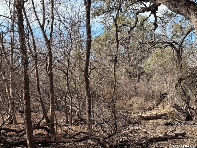 Image 5 of 8 For 6463 Hollyhock