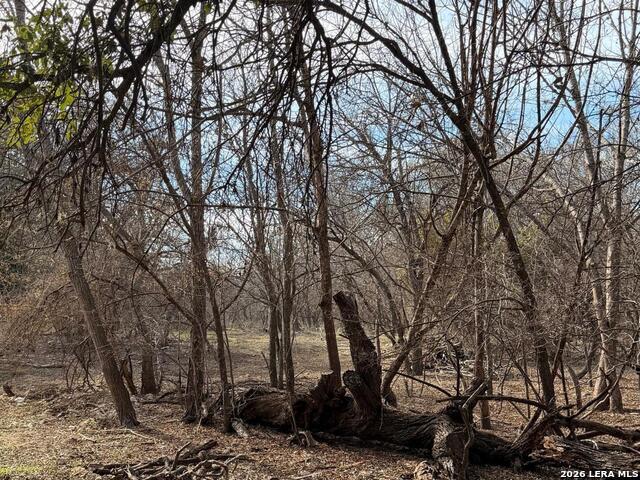 Image 6 of 8 For 6463 Hollyhock