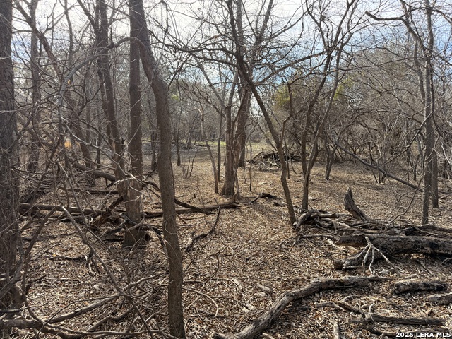 Image 7 of 8 For 6463 Hollyhock
