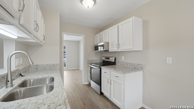 Image 16 of 39 For 10321 Little Sugar