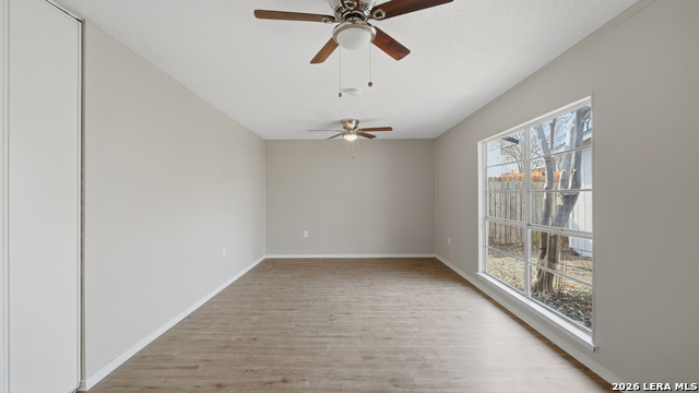 Image 18 of 39 For 10321 Little Sugar