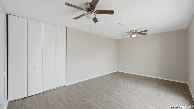 Image 21 of 39 For 10321 Little Sugar