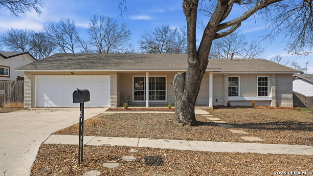 Image 3 of 39 For 10321 Little Sugar