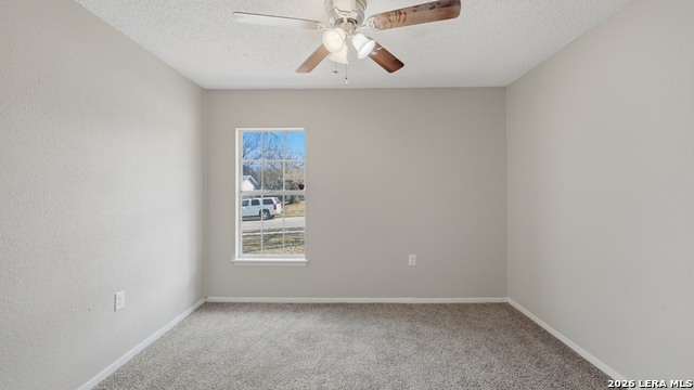 Image 31 of 39 For 10321 Little Sugar