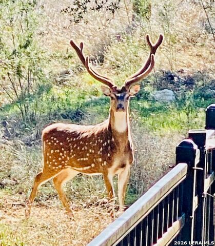 Image 29 of 29 For 27722 Lokaya Falls
