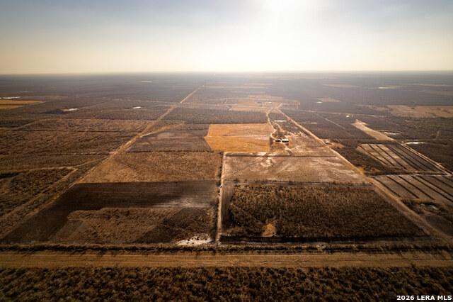 Image 13 of 18 For 3407 Cr 215  