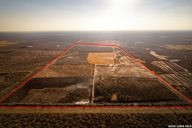 Image 14 of 18 For 3407 Cr 215  