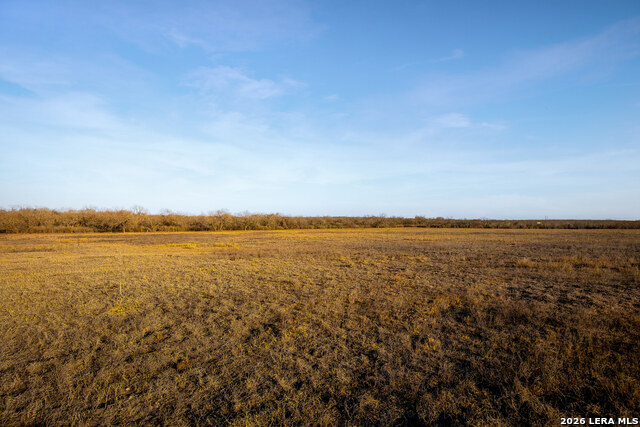 Image 4 of 18 For 3407 Cr 215  