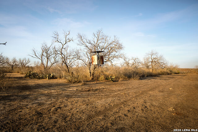 Image 7 of 18 For 3407 Cr 215  