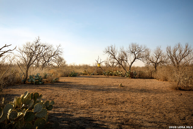 Image 8 of 18 For 3407 Cr 215  