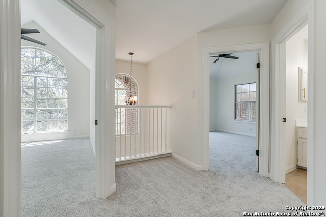 Image 29 of 39 For 1419 Blackbird