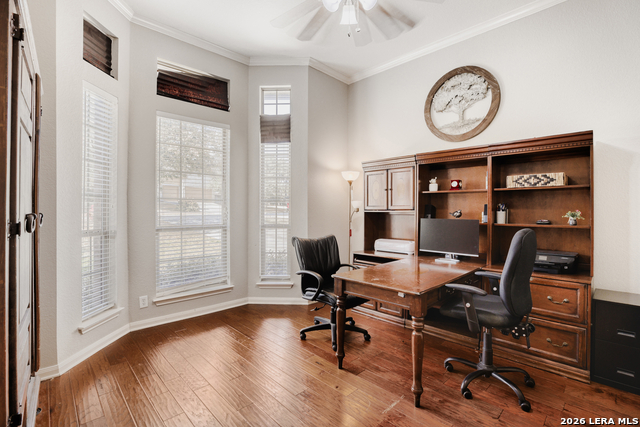 Image 13 of 24 For 8330 Magdalena Run