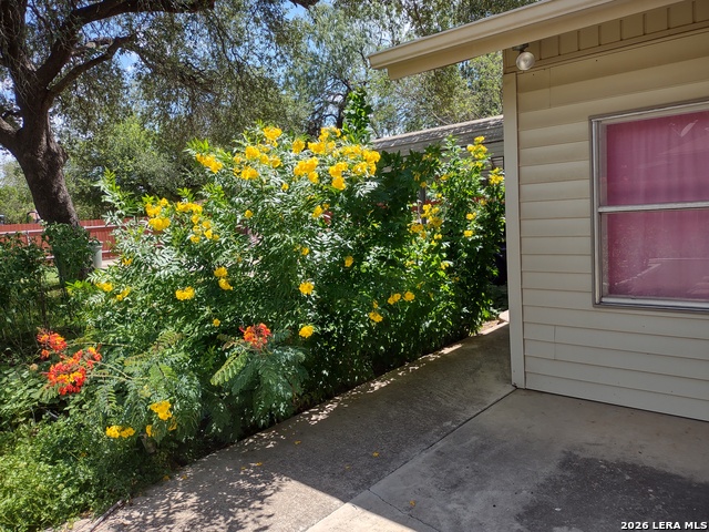 Image 40 of 52 For 137 Bluebonnet N