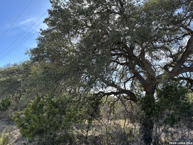 Image 3 of 17 For 116 Ephram Mclane