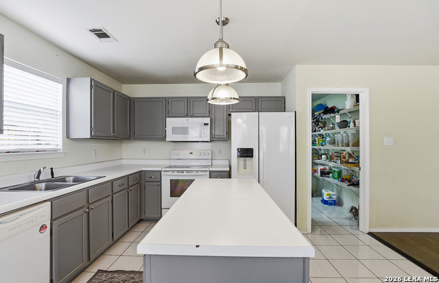 Image 10 of 27 For 1341 Leopard Hunt