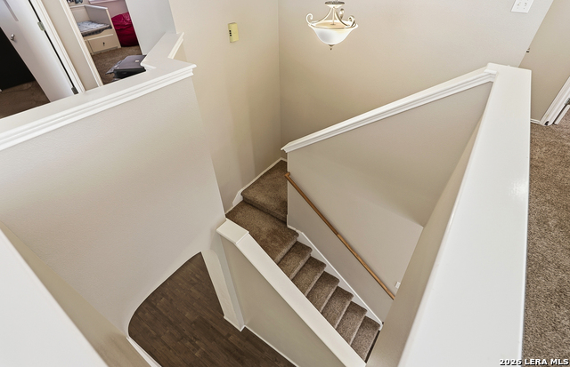 Image 13 of 27 For 1341 Leopard Hunt