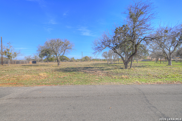 Image 14 of 33 For 314 Windsor  