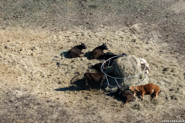 Image 33 of 43 For 451 Wegener Trail