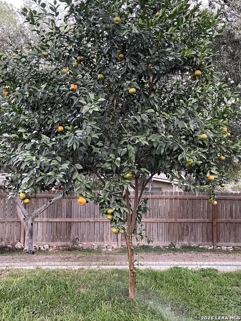 Image 17 of 20 For 8702 Charro Ln