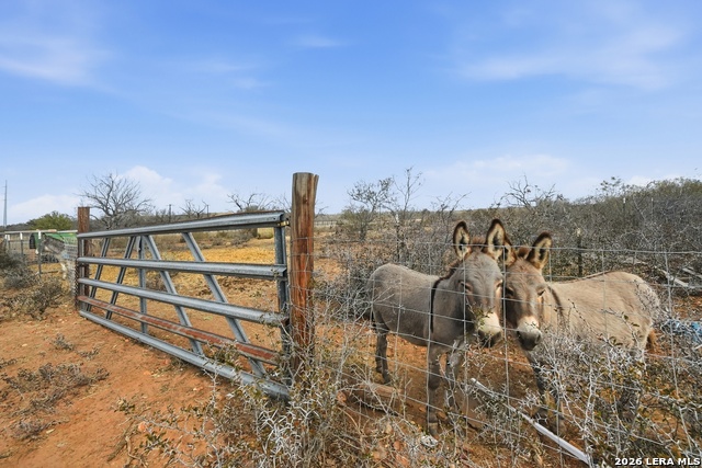 Image 13 of 34 For 3103 Fm 462 W