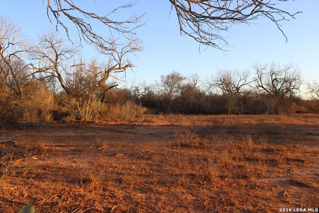 Image 14 of 34 For 3103 Fm 462 W