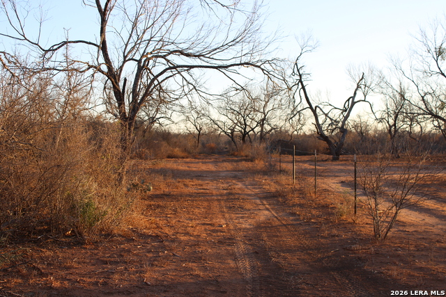 Image 19 of 34 For 3103 Fm 462 W