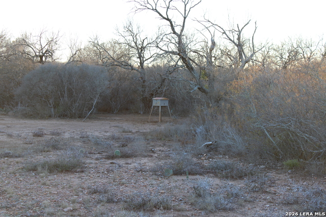 Image 20 of 34 For 3103 Fm 462 W