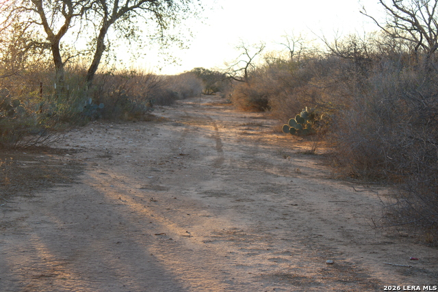 Image 21 of 34 For 3103 Fm 462 W