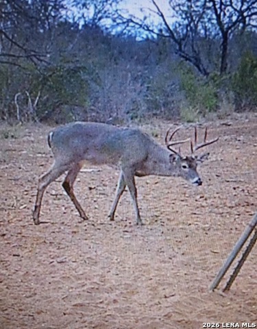 Image 27 of 34 For 3103 Fm 462 W