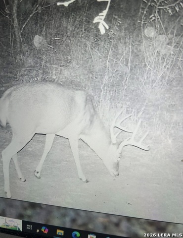 Image 28 of 34 For 3103 Fm 462 W