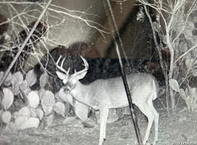 Image 29 of 34 For 3103 Fm 462 W