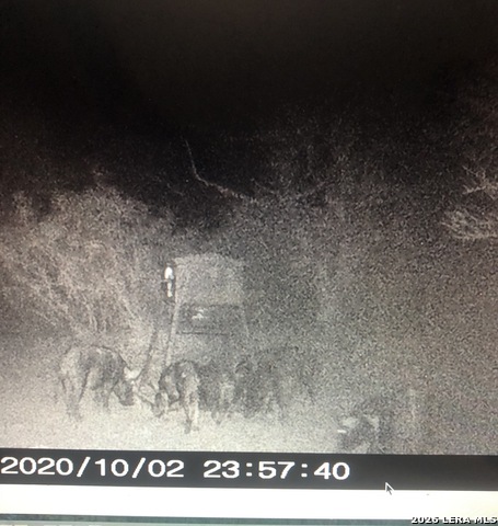 Image 30 of 34 For 3103 Fm 462 W