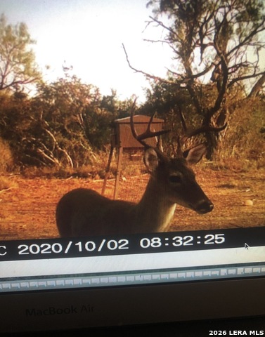 Image 31 of 34 For 3103 Fm 462 W