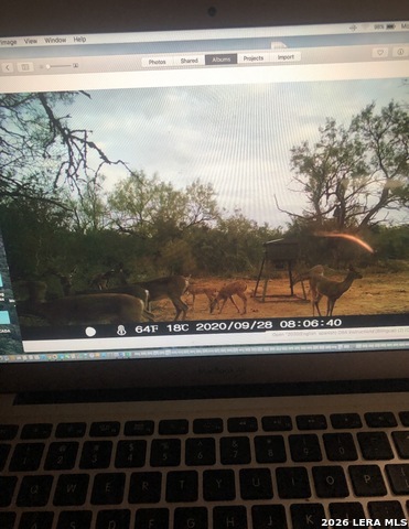 Image 32 of 34 For 3103 Fm 462 W