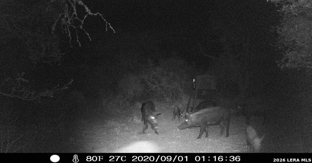 Image 34 of 34 For 3103 Fm 462 W