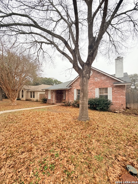 Image 3 of 25 For 15022 Polynesian