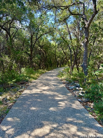 Image 16 of 17 For 4519 Amorosa