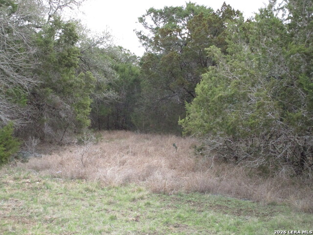 Image 4 of 15 For 138 Bear Creek