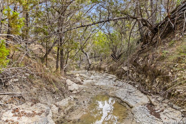 Image 41 of 43 For 1600 Brushy Ridge Trail
