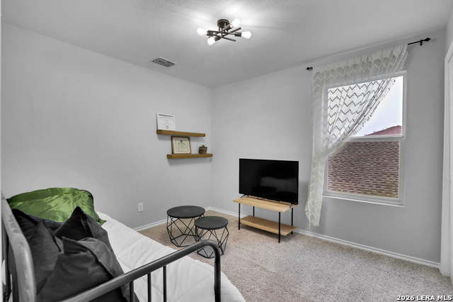 Listing photo id 18 for 2703 Bluff Crossing