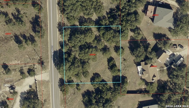 Image 3 of 8 For 1061 Cougar  