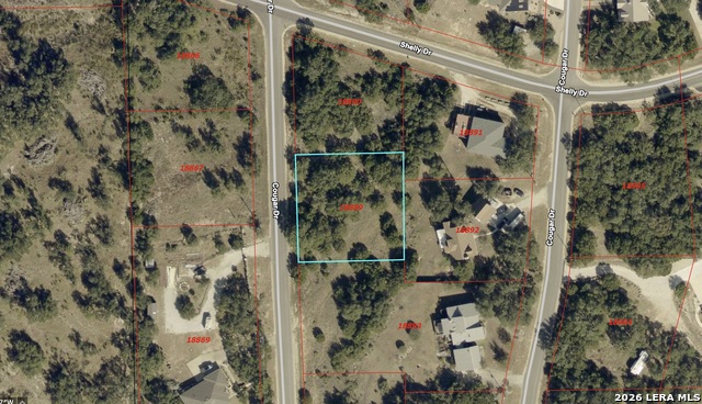 Image 5 of 8 For 1061 Cougar  