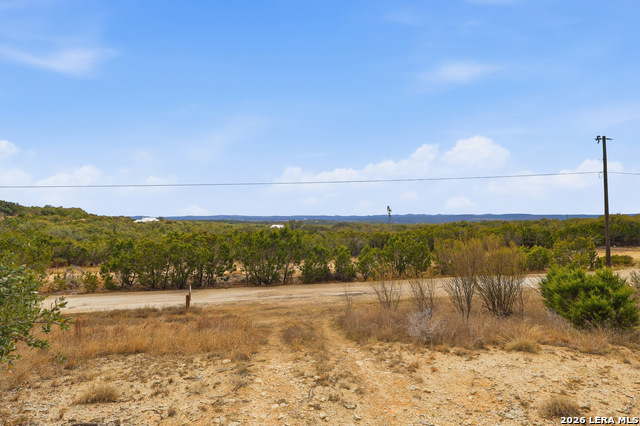 Image 16 of 25 For 31910 Blanco