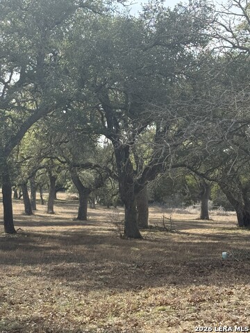 Image 21 of 25 For 31910 Blanco