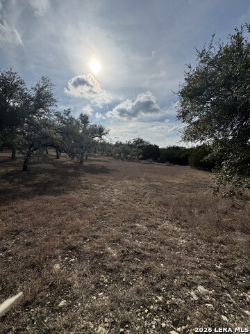 Image 22 of 25 For 31910 Blanco