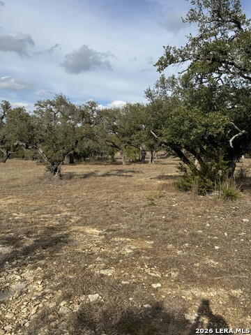 Image 23 of 25 For 31910 Blanco