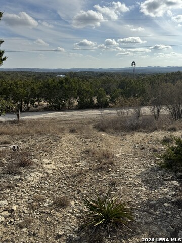 Image 24 of 25 For 31910 Blanco