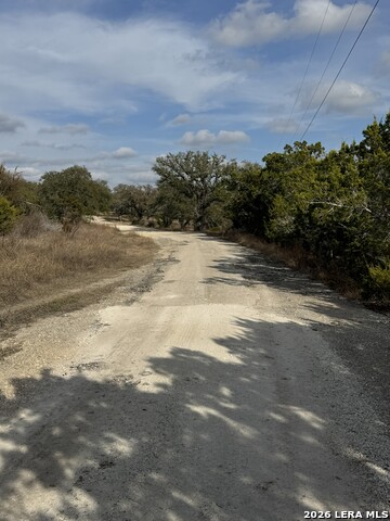 Image 25 of 25 For 31910 Blanco