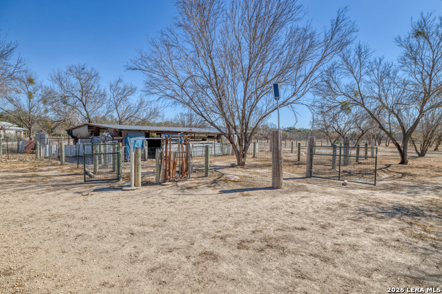 Listing photo id 10 for 1140 Curtis Bourn E