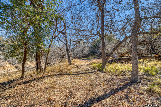 Listing photo id 32 for 1140 Curtis Bourn E